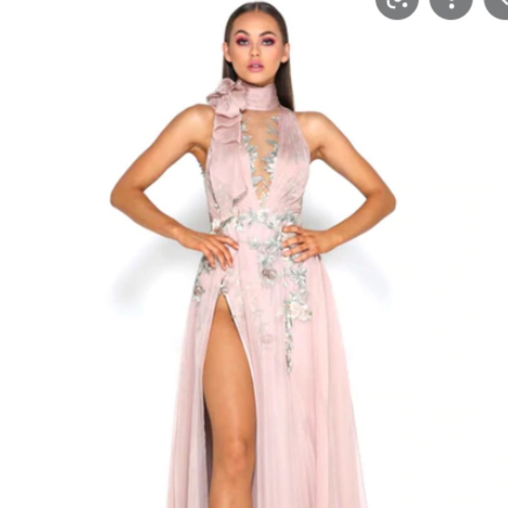 Portia and Scarlett Danielle Gown in Blush